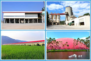 海螺 讓綠色成為發展主色調，環保節能技術開發的探索與實踐